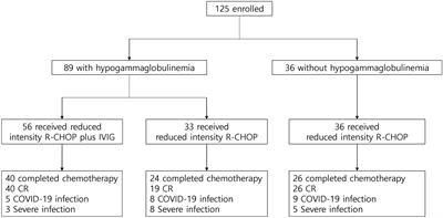 Clinical efficacy of prophylactic intravenous immunoglobulin for elderly DLBCL patients with hypogammaglobulinemia in the COVID-19 pandemic era